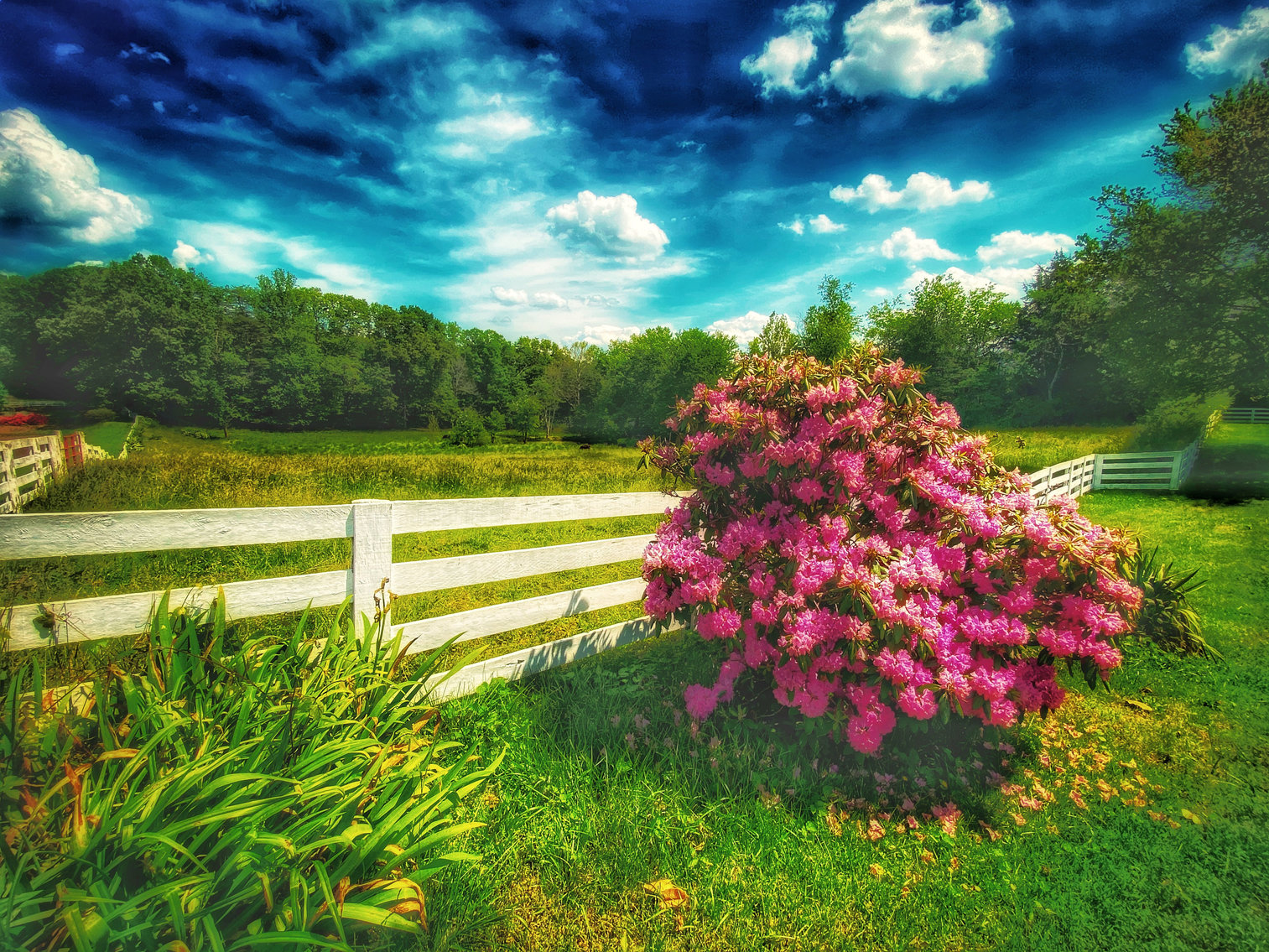 Image for 4 BR/2 BA Farm House, Barns, Fencing & 2 Ponds on 57.5 +/- Acres in Fauquier County, VA--SELLING to the HIGHEST BIDDER!!