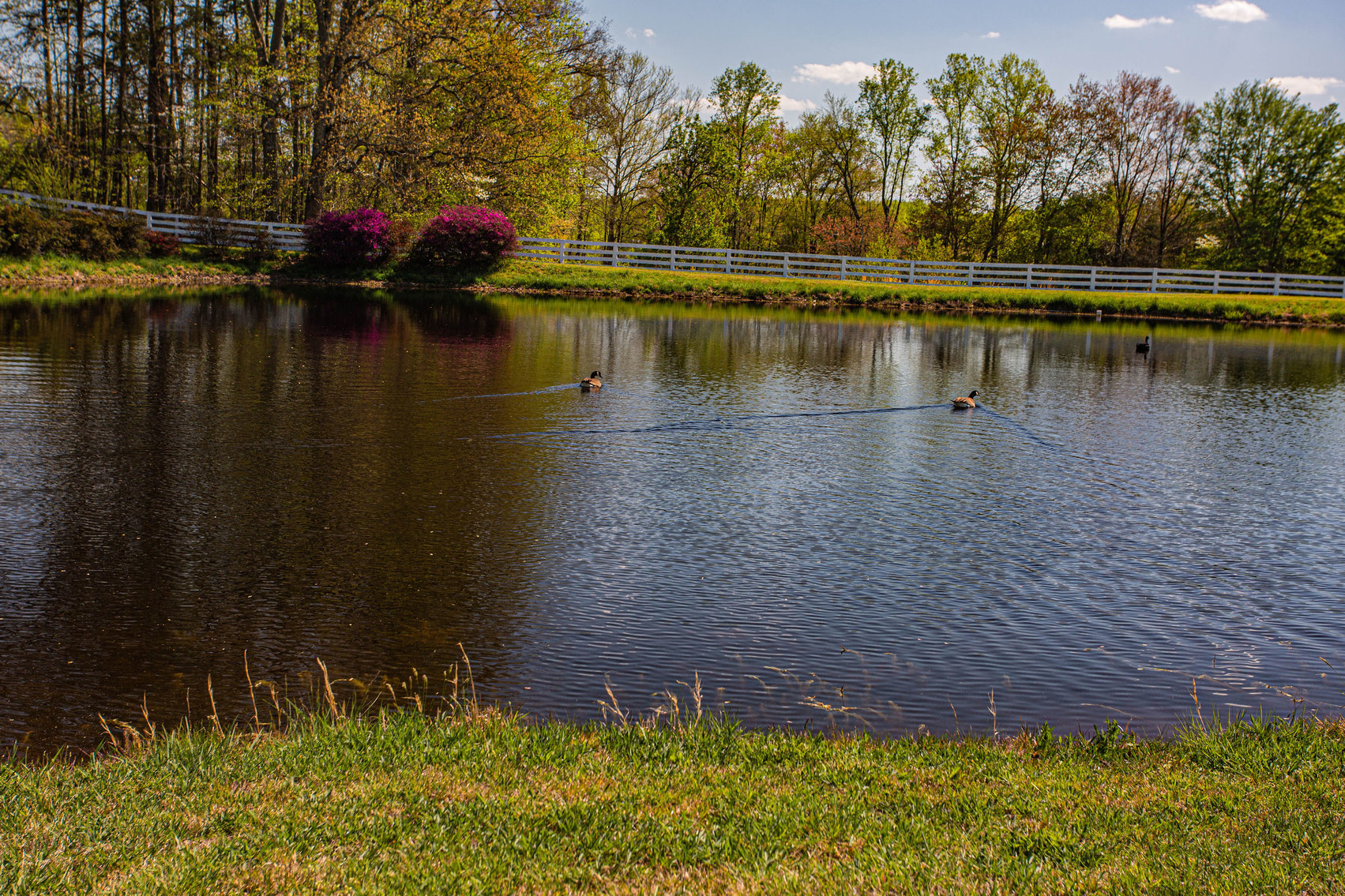 Image for 4 BR/2 BA Farm House, Barns, Fencing & 2 Ponds on 57.5 +/- Acres in Fauquier County, VA--SELLING to the HIGHEST BIDDER!!