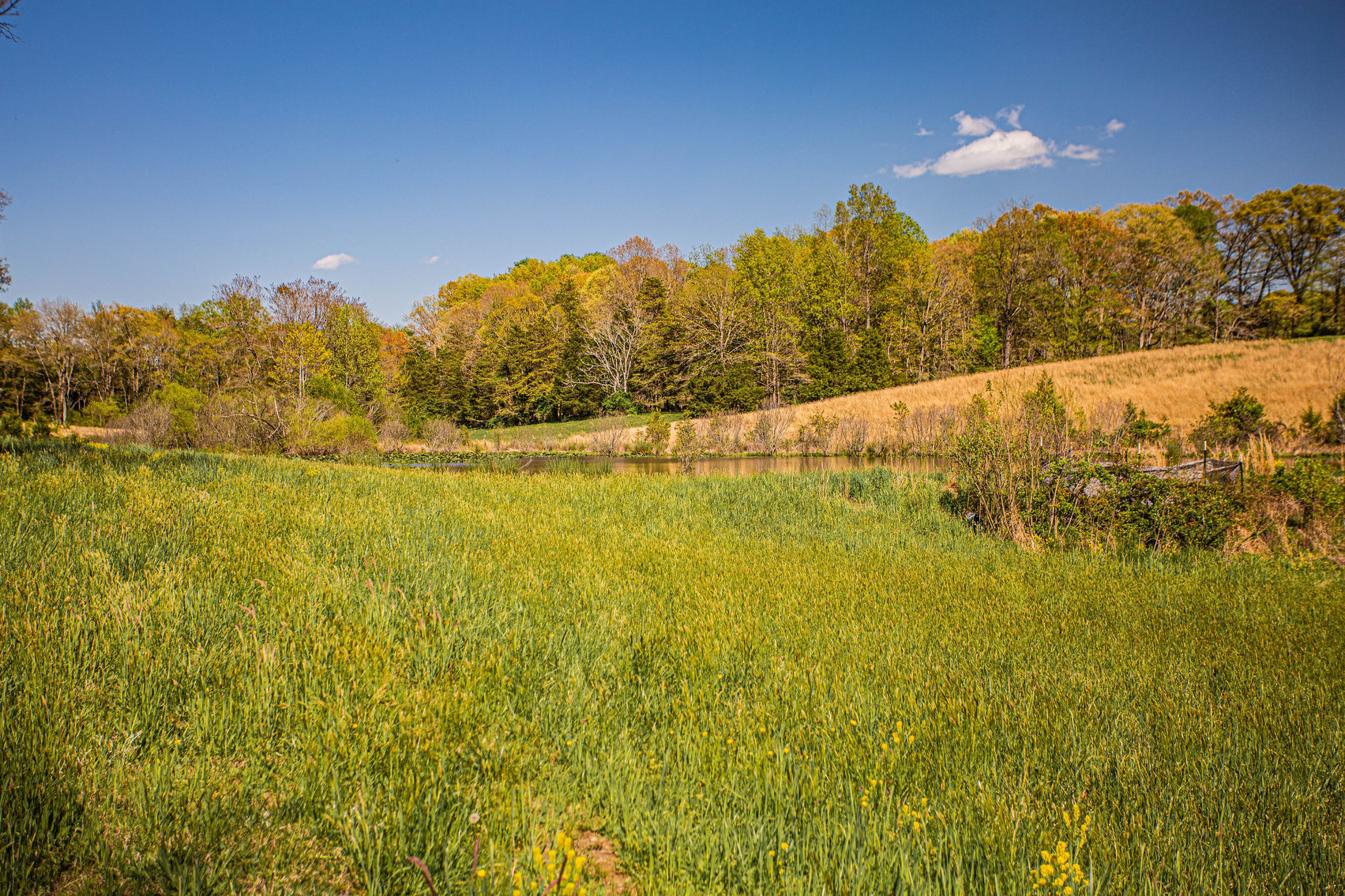 Image for 4 BR/2 BA Farm House, Barns, Fencing & 2 Ponds on 57.5 +/- Acres in Fauquier County, VA--SELLING to the HIGHEST BIDDER!!