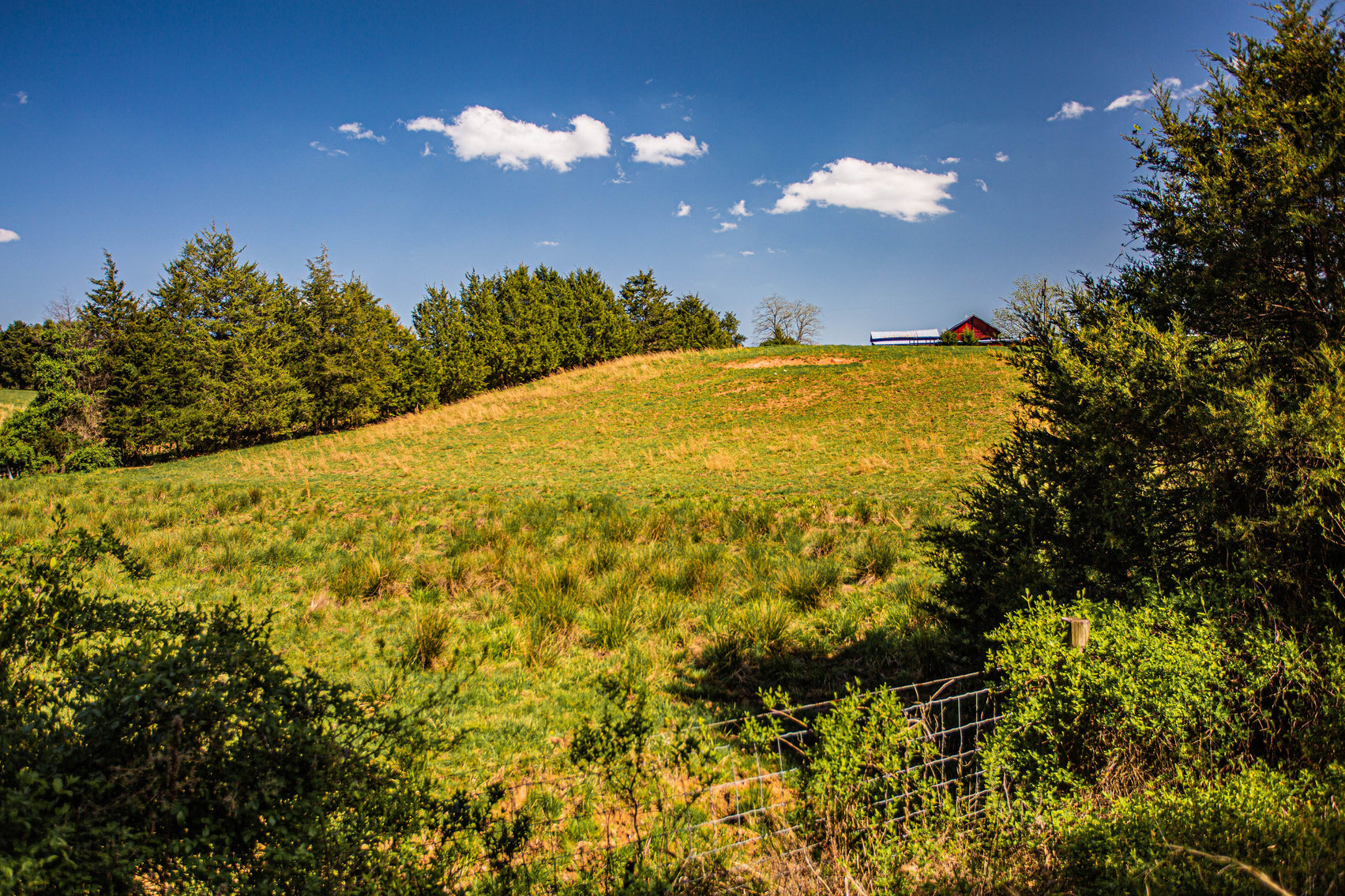 Image for 4 BR/2 BA Farm House, Barns, Fencing & 2 Ponds on 57.5 +/- Acres in Fauquier County, VA--SELLING to the HIGHEST BIDDER!!