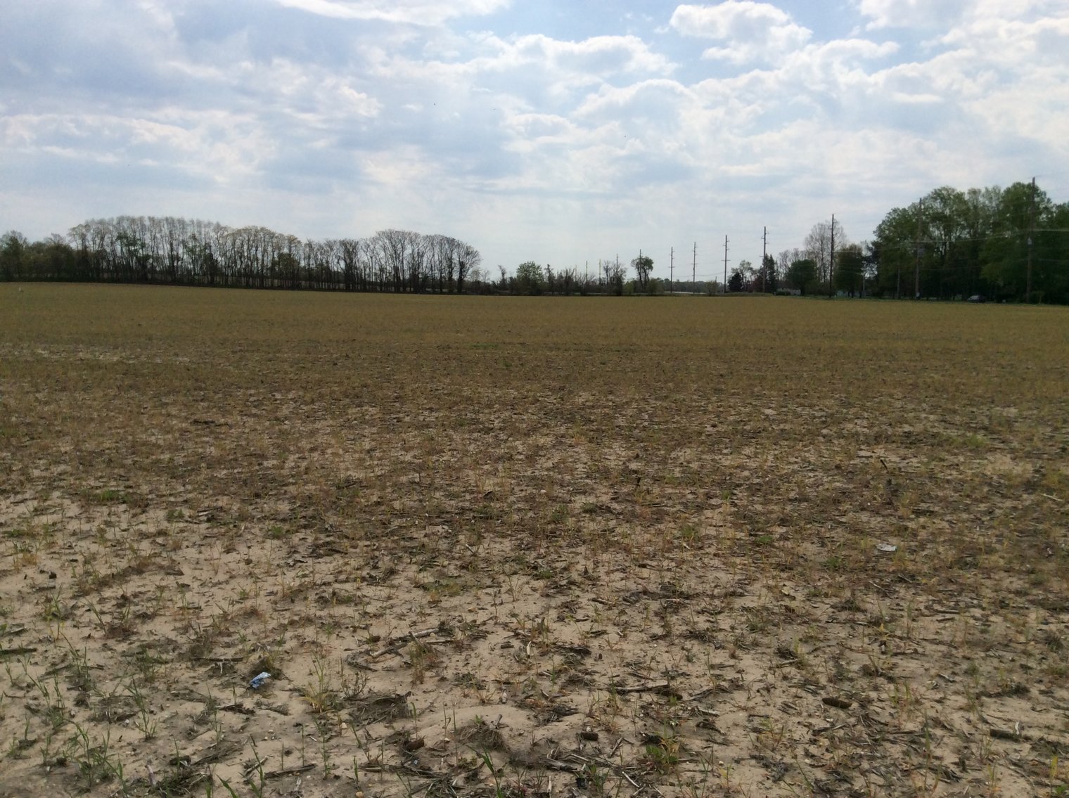 Image for 19 +/- Acres Available in Woolwich Township