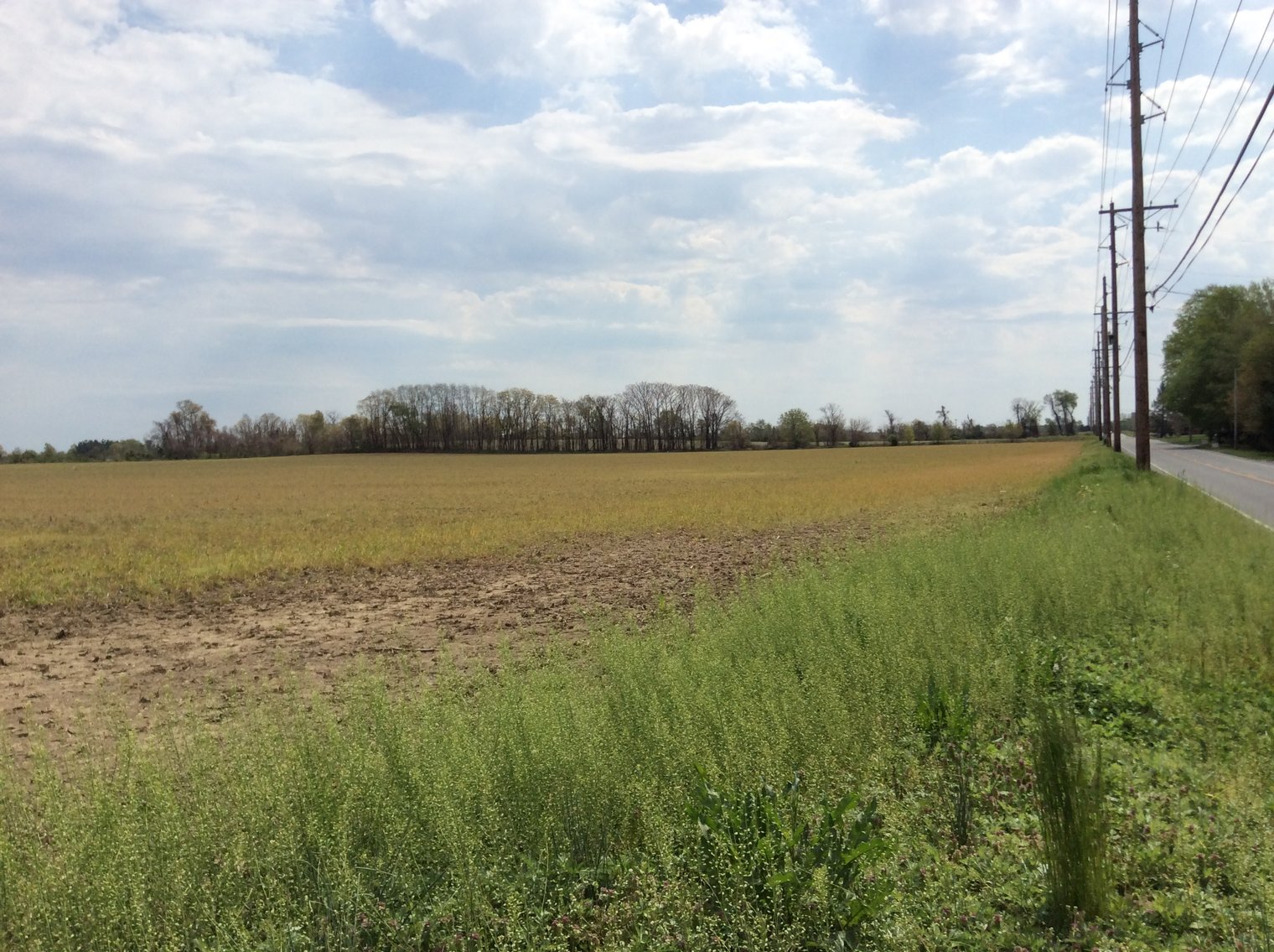 Image for 19 +/- Acres Available in Woolwich Township