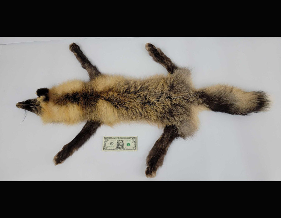 Image for May 2021 Fantastic Furs Auction