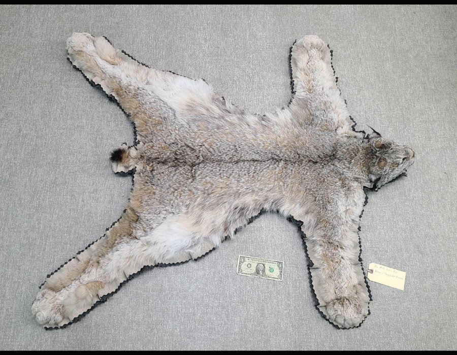 Image for May 2021 Fantastic Furs Auction