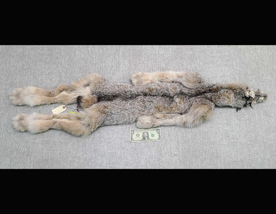 Image for May 2021 Fantastic Furs Auction
