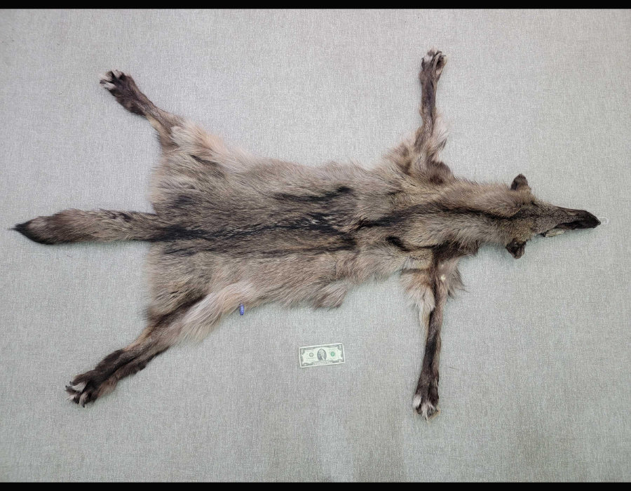 Image for May 2021 Fantastic Furs Auction