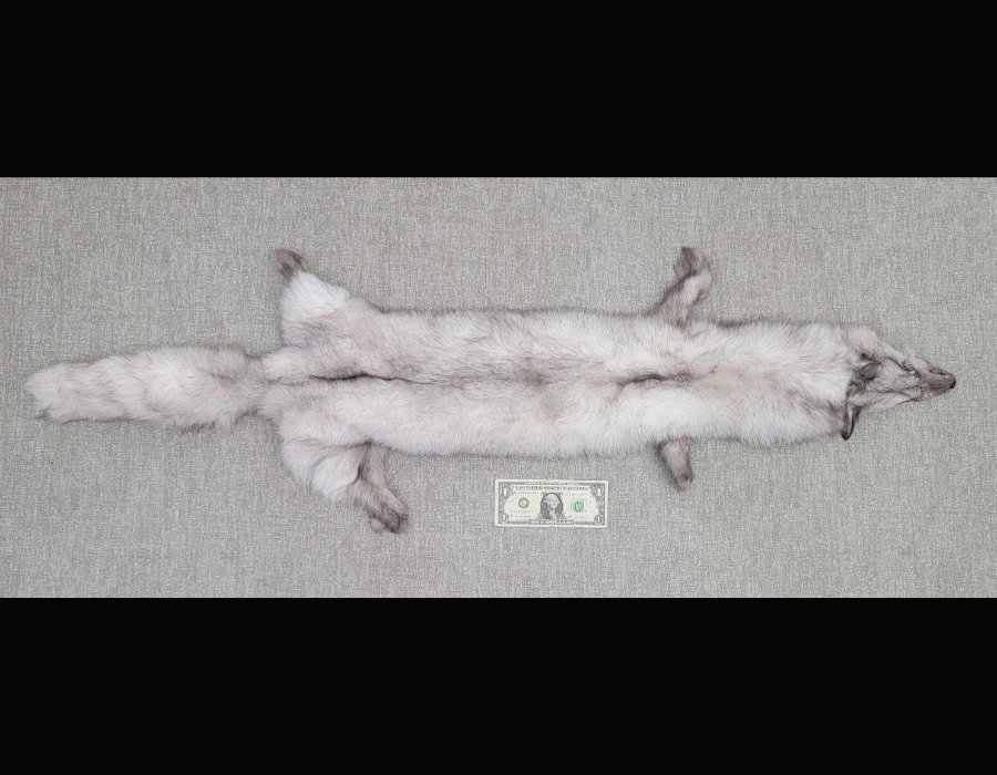 Image for May 2021 Fantastic Furs Auction