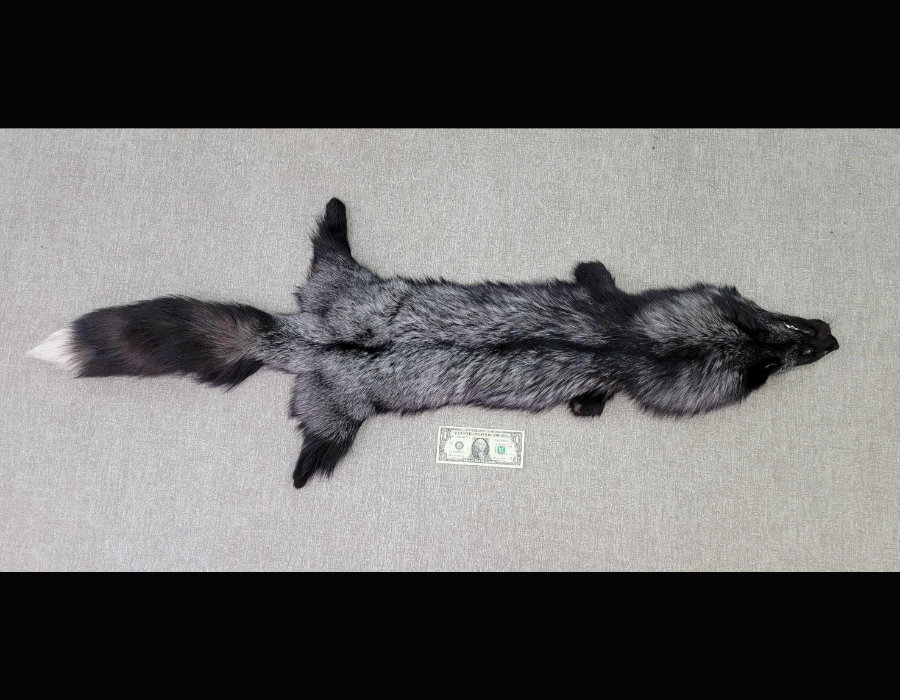 Image for May 2021 Fantastic Furs Auction