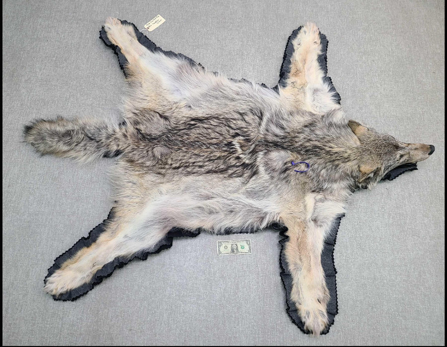 Image for May 2021 Fantastic Furs Auction