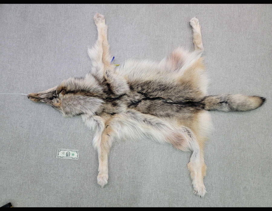 Image for May 2021 Fantastic Furs Auction