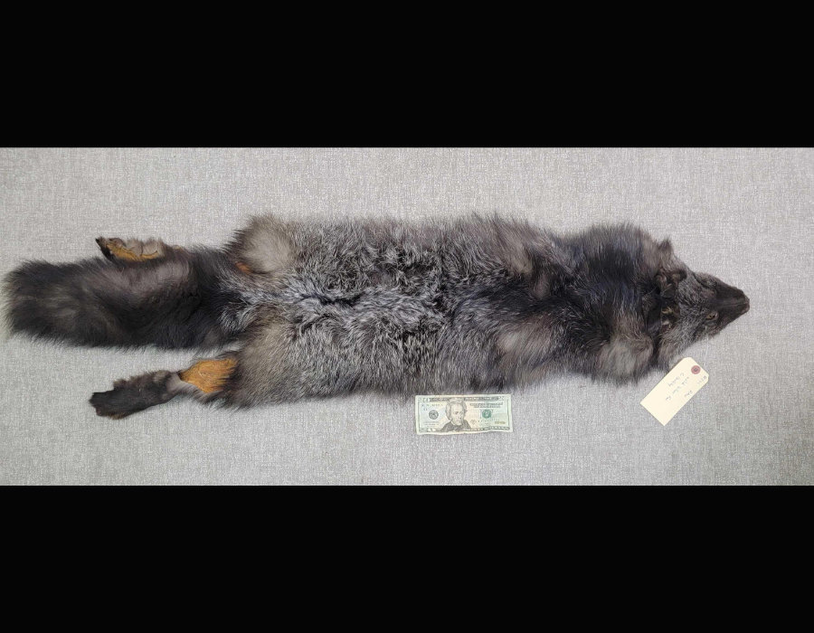 Image for May 2021 Fantastic Furs Auction