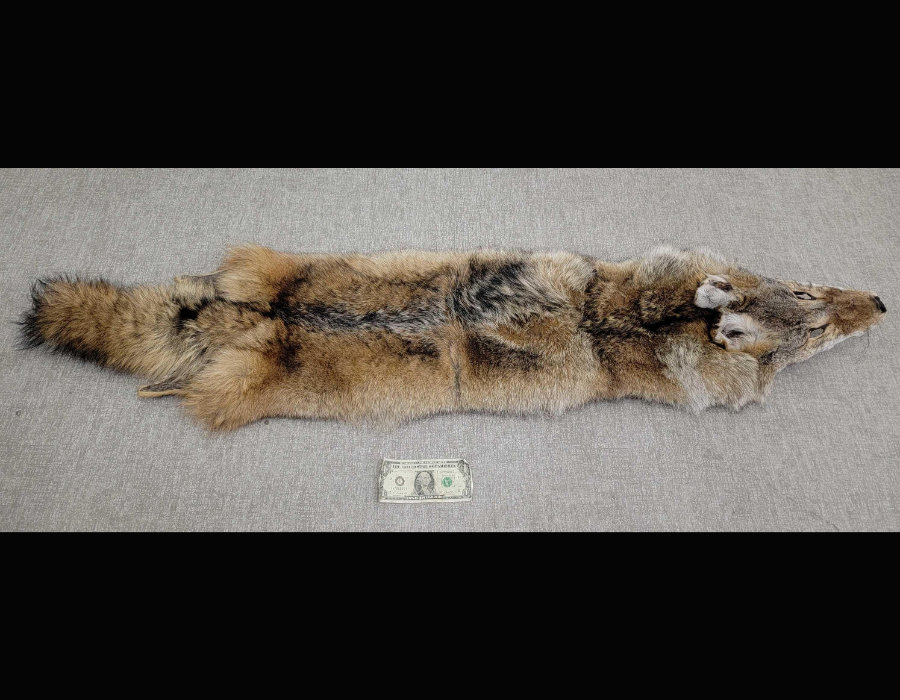 Image for May 2021 Fantastic Furs Auction