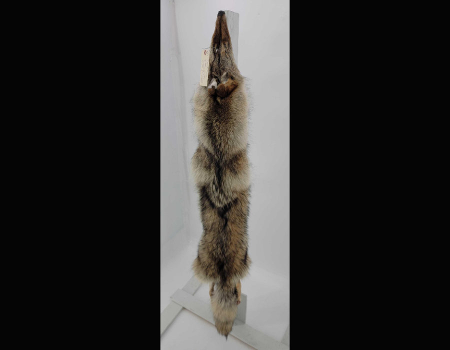 Image for May 2021 Fantastic Furs Auction