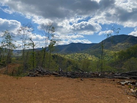 Image for 64.5 AC Development Site - Easy Access To I-81 - Frontage Along Norfolk Southern Railroad - 0 Roanoke Rd., Elliston, VA 24087