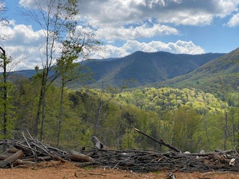 Image for 64.5 AC Development Site - Easy Access To I-81 - Frontage Along Norfolk Southern Railroad - 0 Roanoke Rd., Elliston, VA 24087