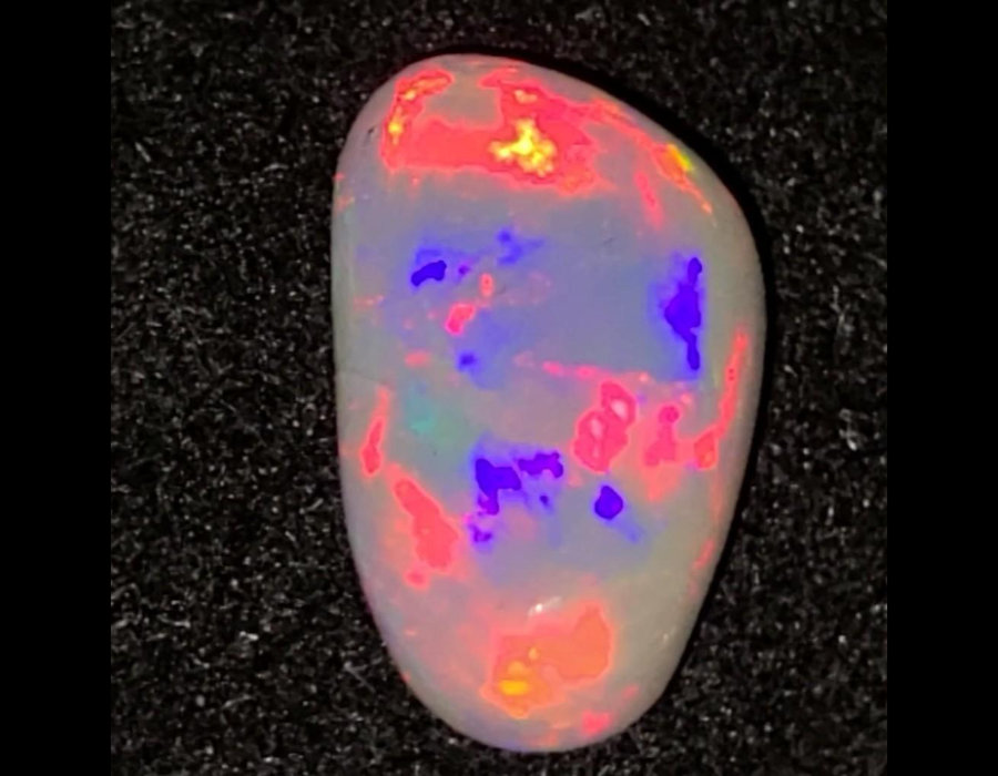 Image for May 2021 Coins, Cars & Firearms Auction