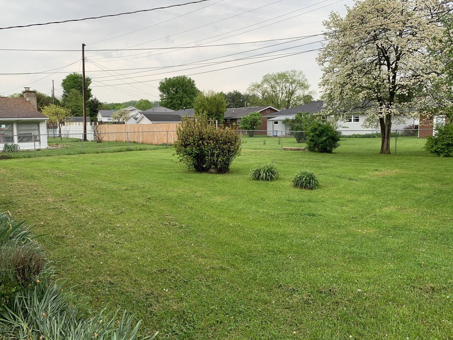 Image for Absolute Real Estate Auction