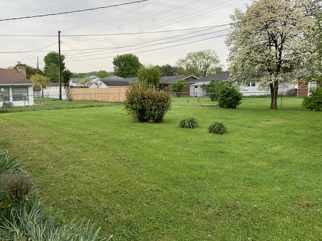 Image for Absolute Real Estate Auction