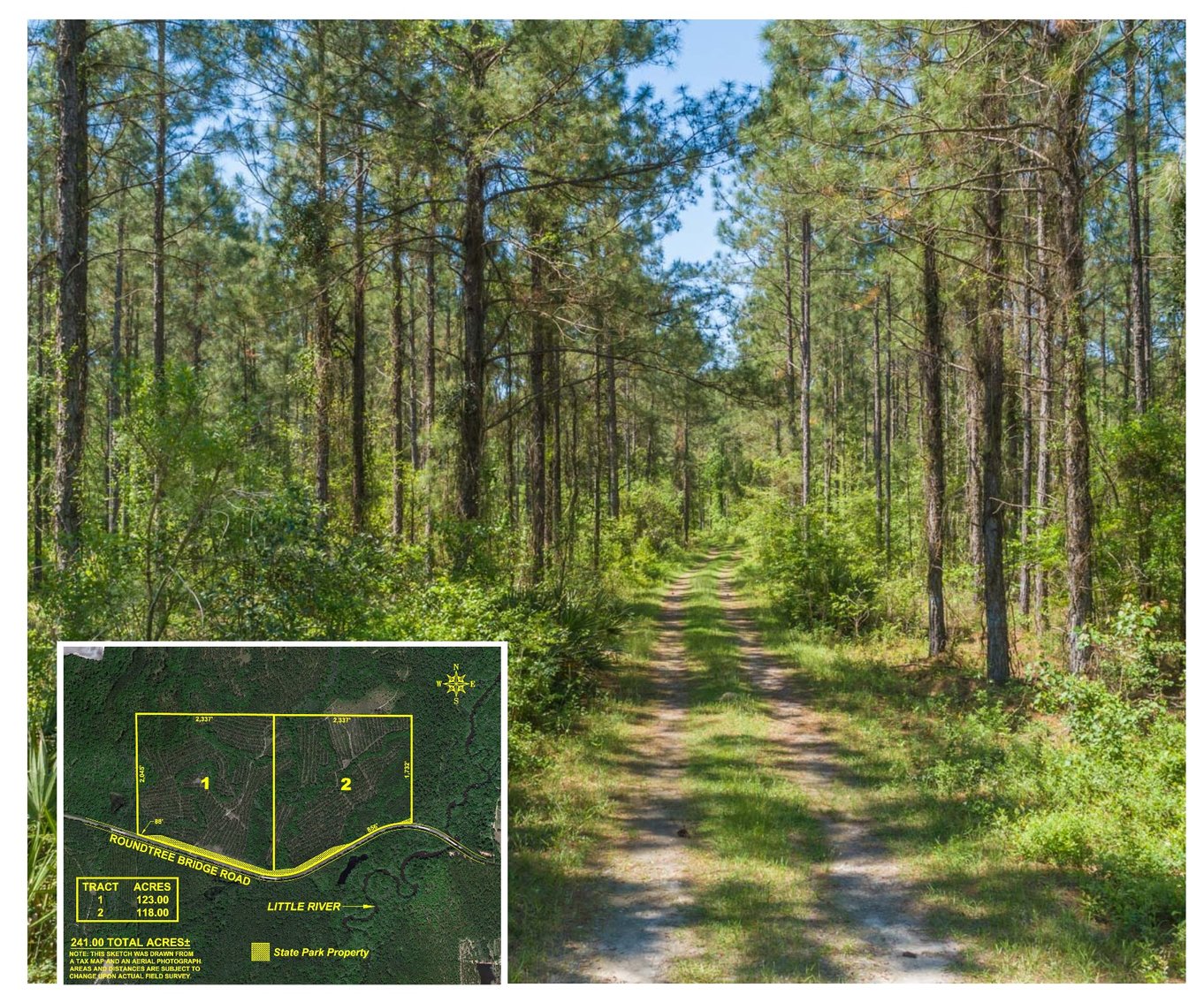 241 +/ Acre Timber and Recreational Property Colquitt County,