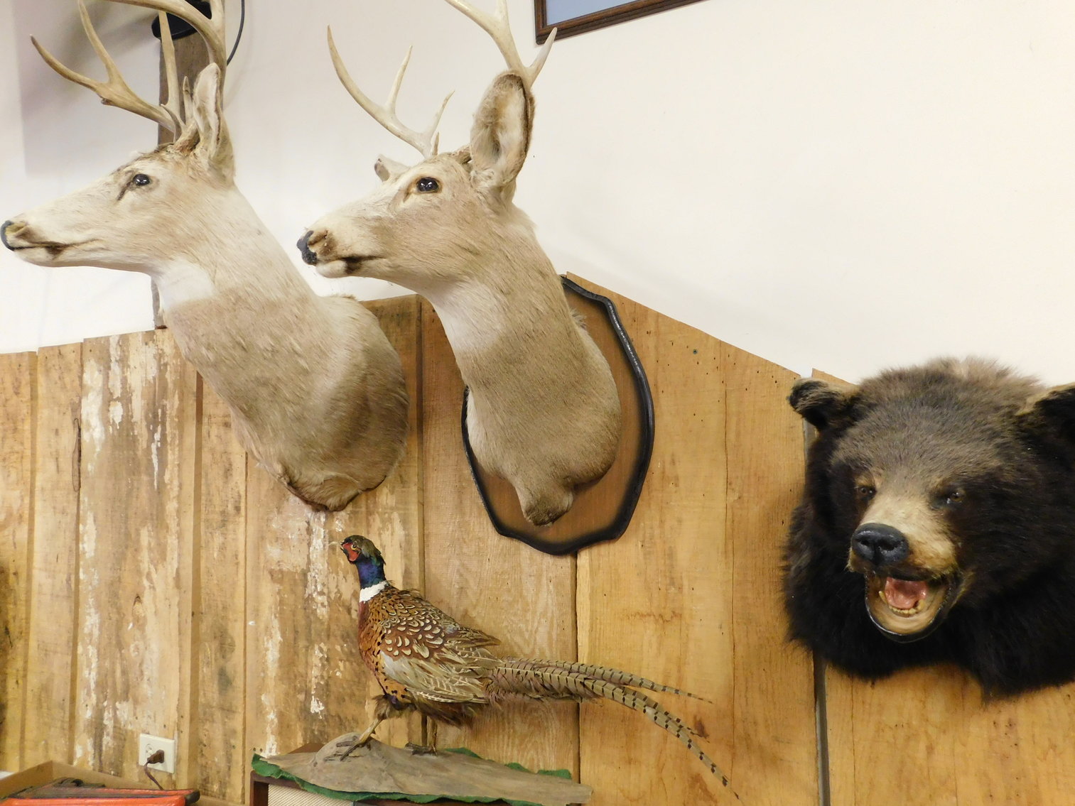 Image for Large Evening Live and Online Auction