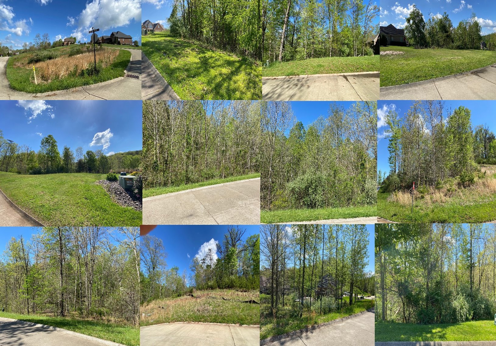 Image for SOLD - 15 Lots in Crystal Springs Selling to the Highest Bidders