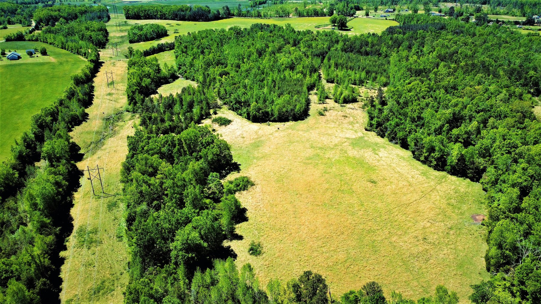 Image for 118 +/- Acres of Timber & Fenced Pasture Land--Lunenburg County, VA