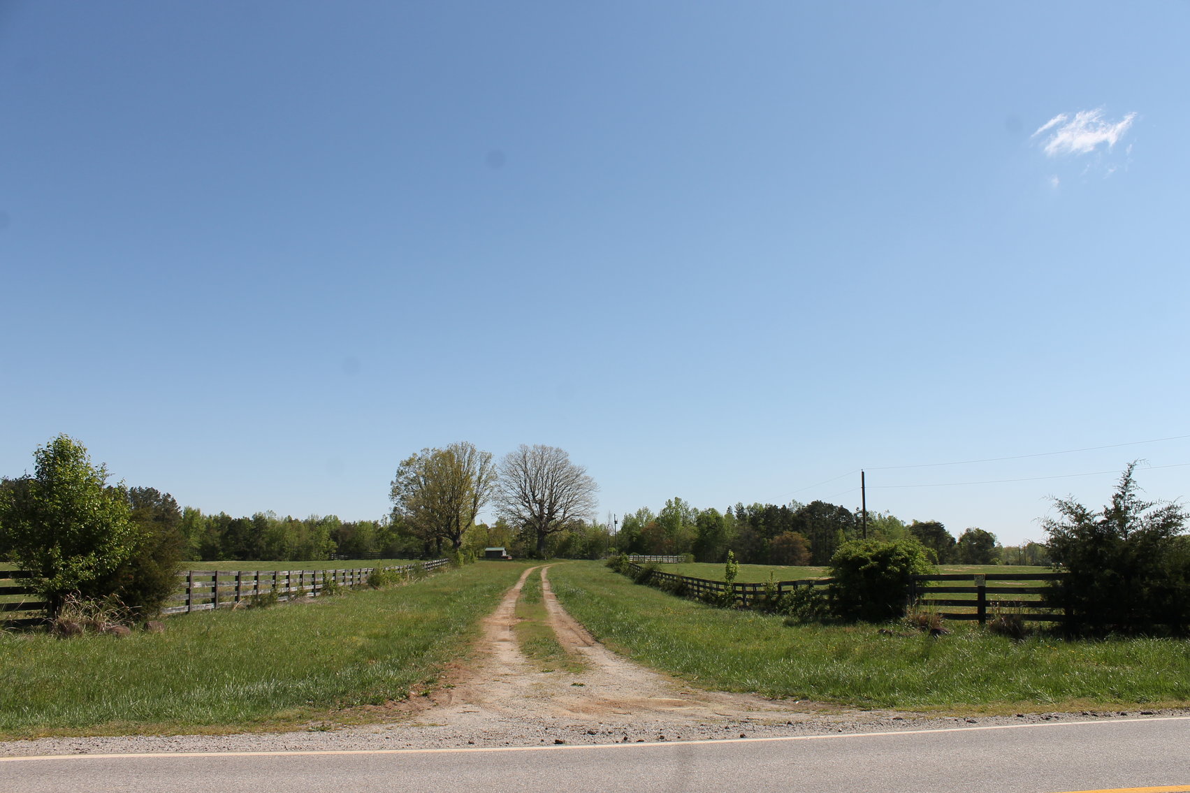 Image for 118 +/- Acres of Timber & Fenced Pasture Land--Lunenburg County, VA