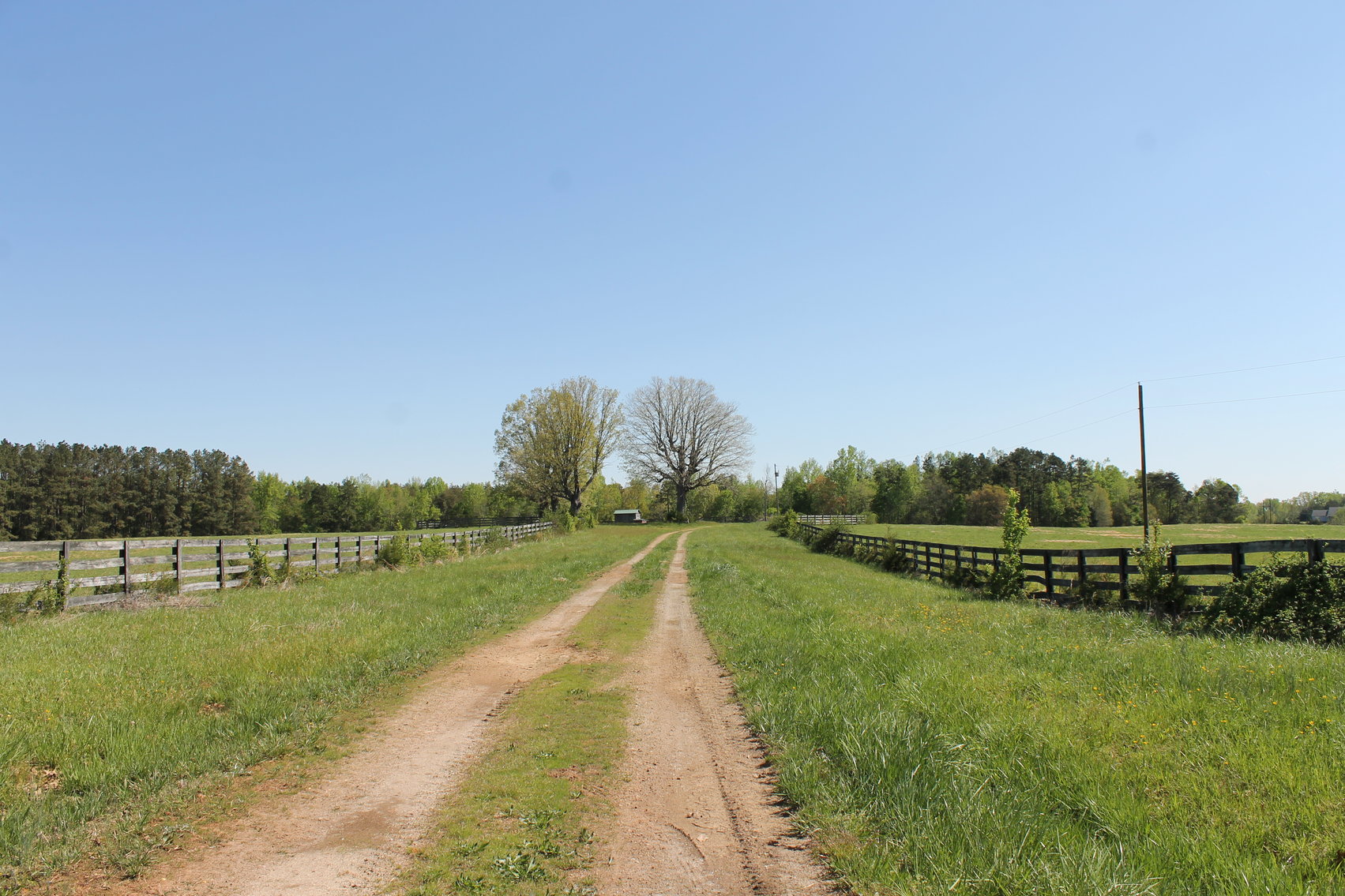 Image for 118 +/- Acres of Timber & Fenced Pasture Land--Lunenburg County, VA