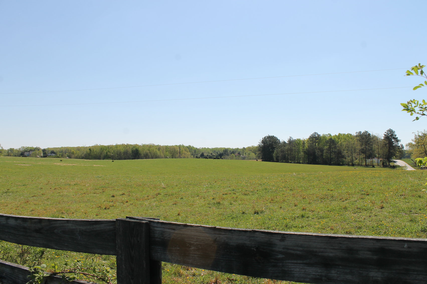 Image for 118 +/- Acres of Timber & Fenced Pasture Land--Lunenburg County, VA