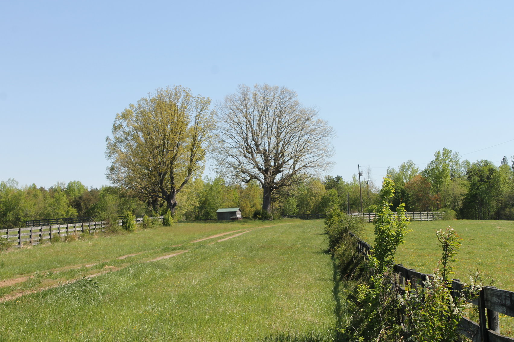 Image for 118 +/- Acres of Timber & Fenced Pasture Land--Lunenburg County, VA
