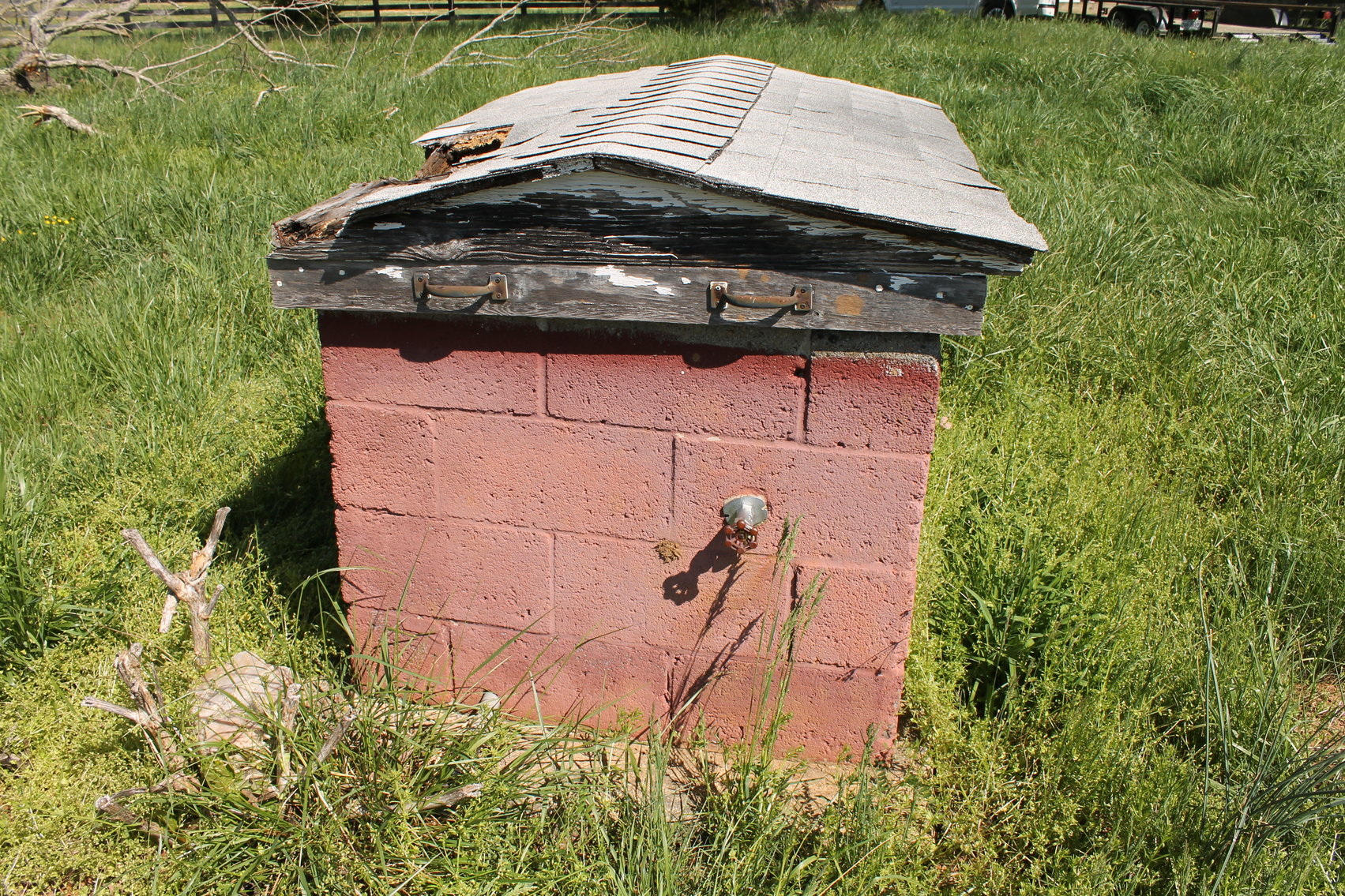 Image for 118 +/- Acres of Timber & Fenced Pasture Land--Lunenburg County, VA