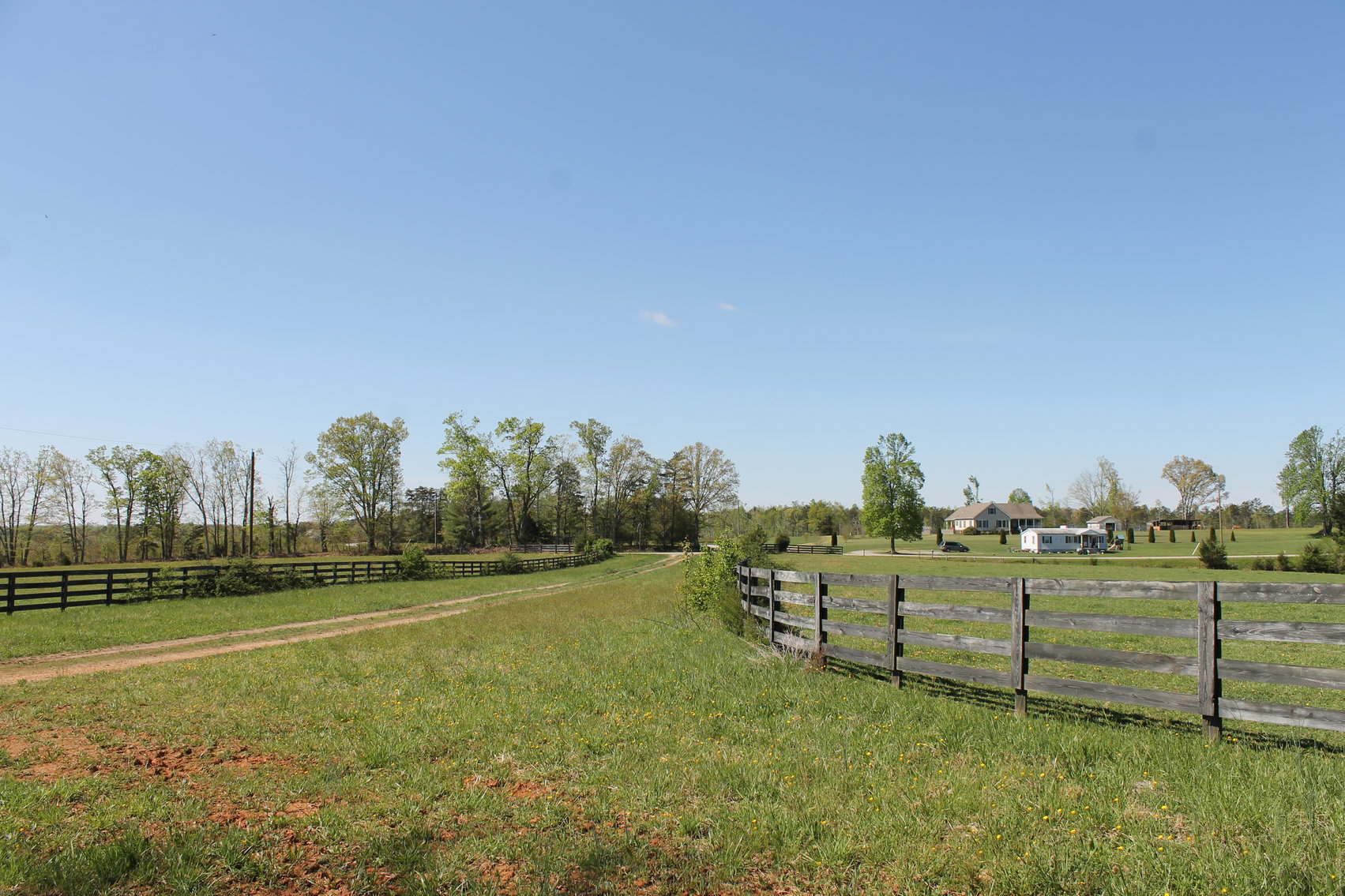 Image for 118 +/- Acres of Timber & Fenced Pasture Land--Lunenburg County, VA