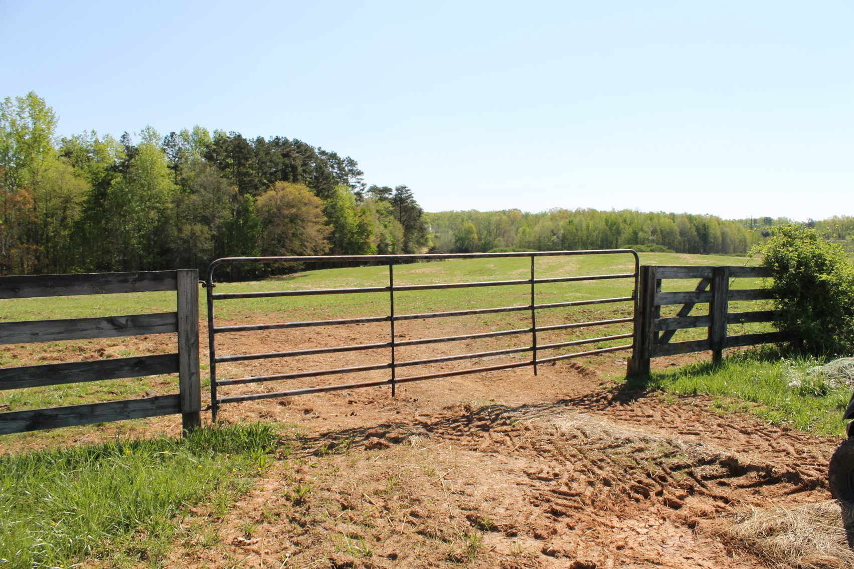 Image for 118 +/- Acres of Timber & Fenced Pasture Land--Lunenburg County, VA