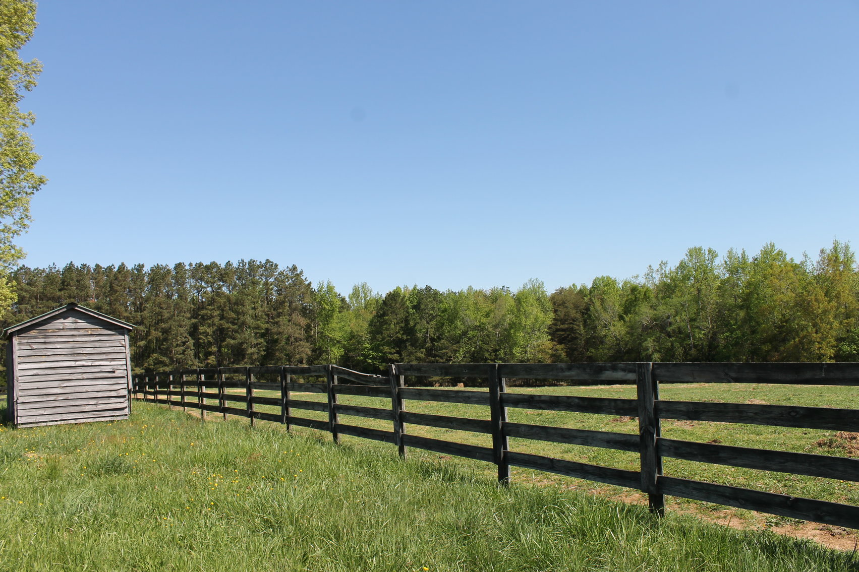 Image for 118 +/- Acres of Timber & Fenced Pasture Land--Lunenburg County, VA