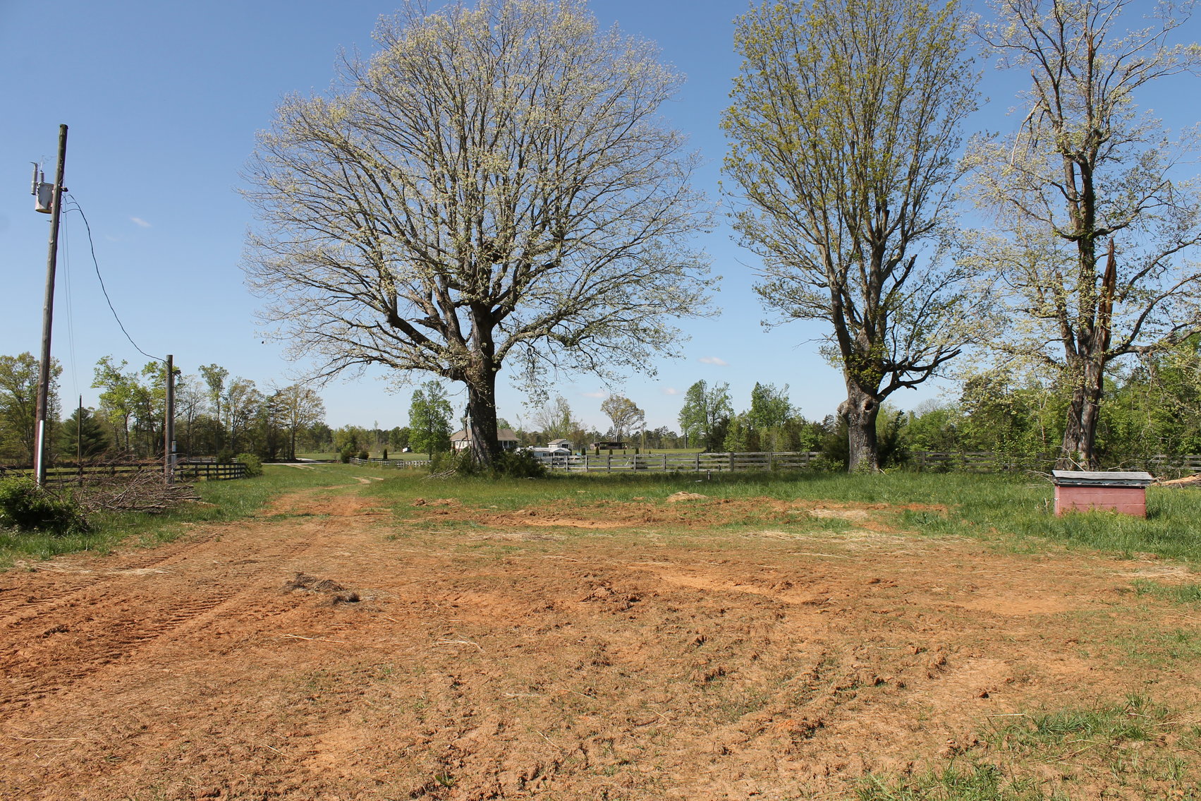 Image for 118 +/- Acres of Timber & Fenced Pasture Land--Lunenburg County, VA