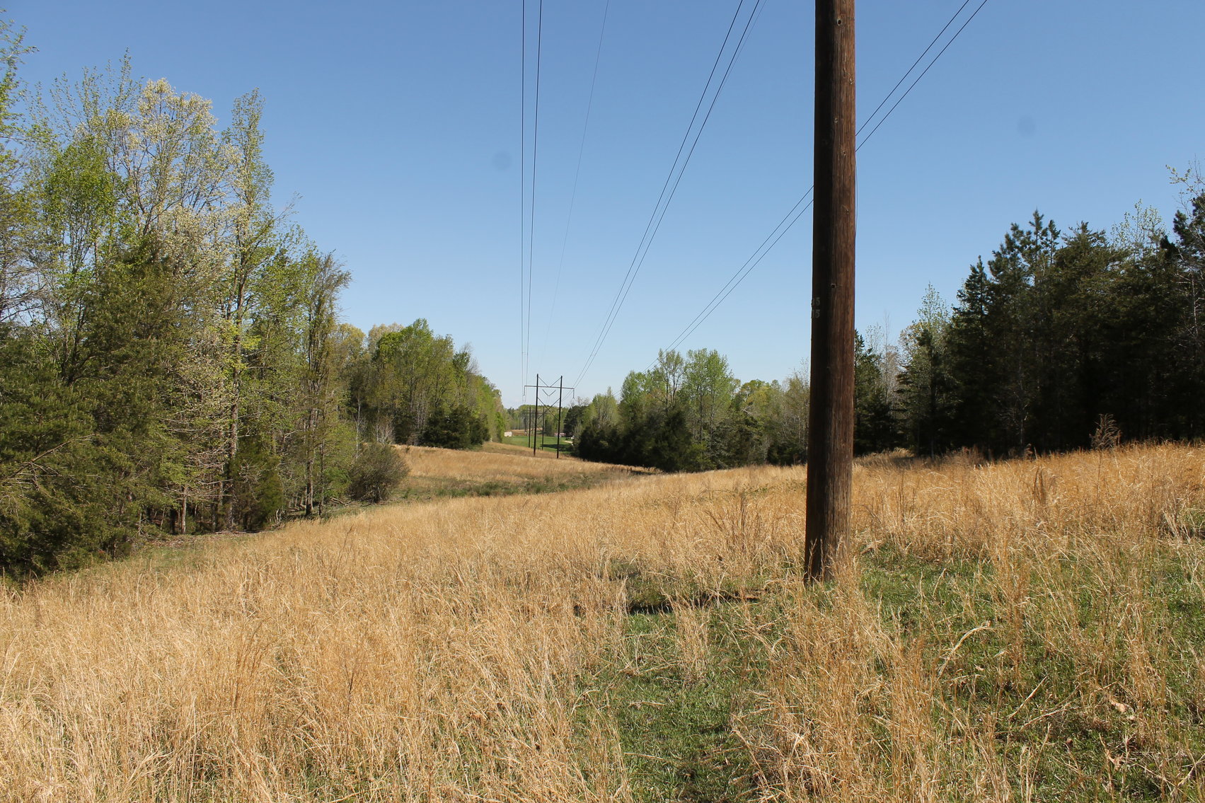 Image for 118 +/- Acres of Timber & Fenced Pasture Land--Lunenburg County, VA