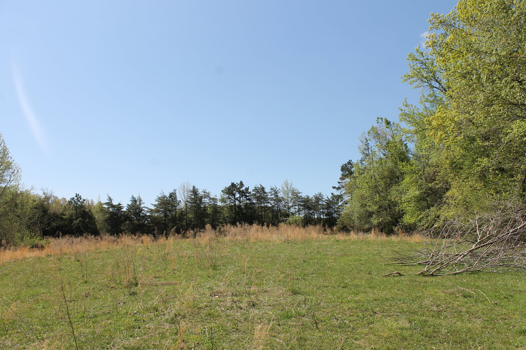 Image for 118 +/- Acres of Timber & Fenced Pasture Land--Lunenburg County, VA