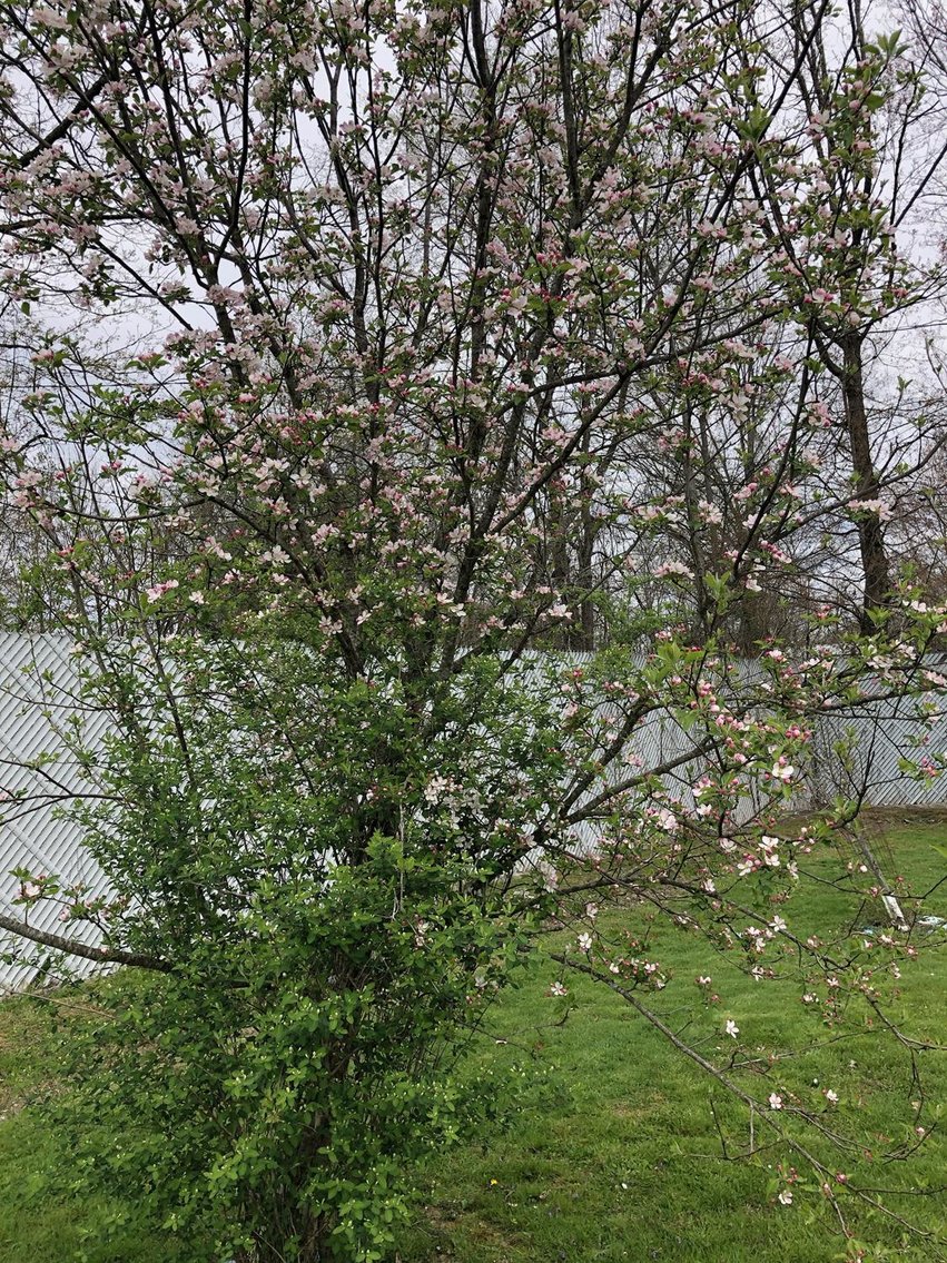 Image for SOLD $126,500 - Must-see 5 Bedroom Selling to the Highest Bidder