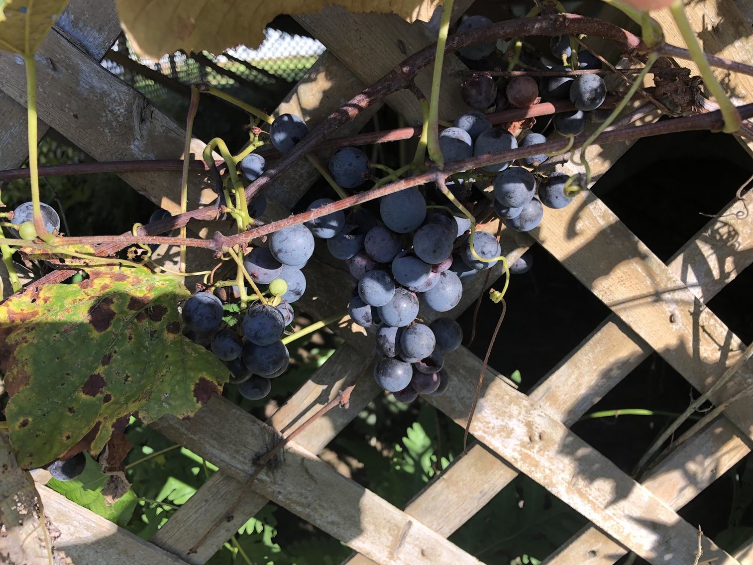 Image for SOLD $126,500 - Must-see 5 Bedroom Selling to the Highest Bidder