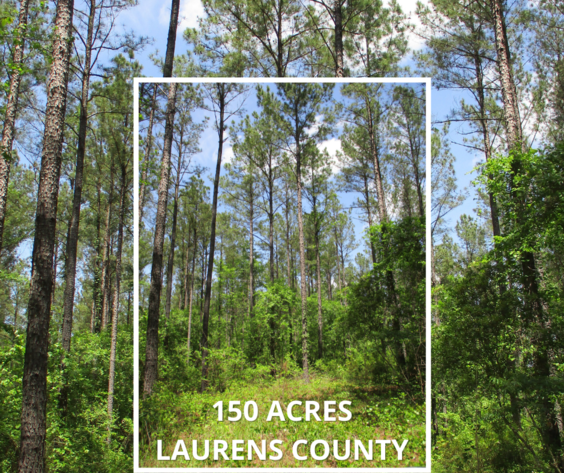 Image for LIVE AUCTION - June 10, 2021