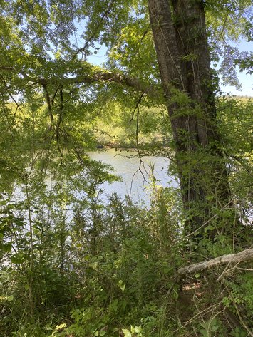 Image for 111+/- Acres Over 4300’ Tallapoosa River Frontage