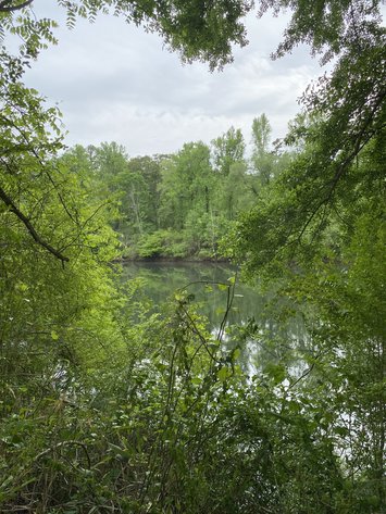 Image for 111+/- Acres Over 4300’ Tallapoosa River Frontage