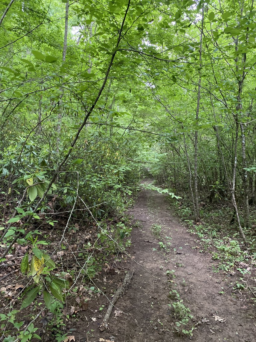 Image for 111+/- Acres Over 4300’ Tallapoosa River Frontage