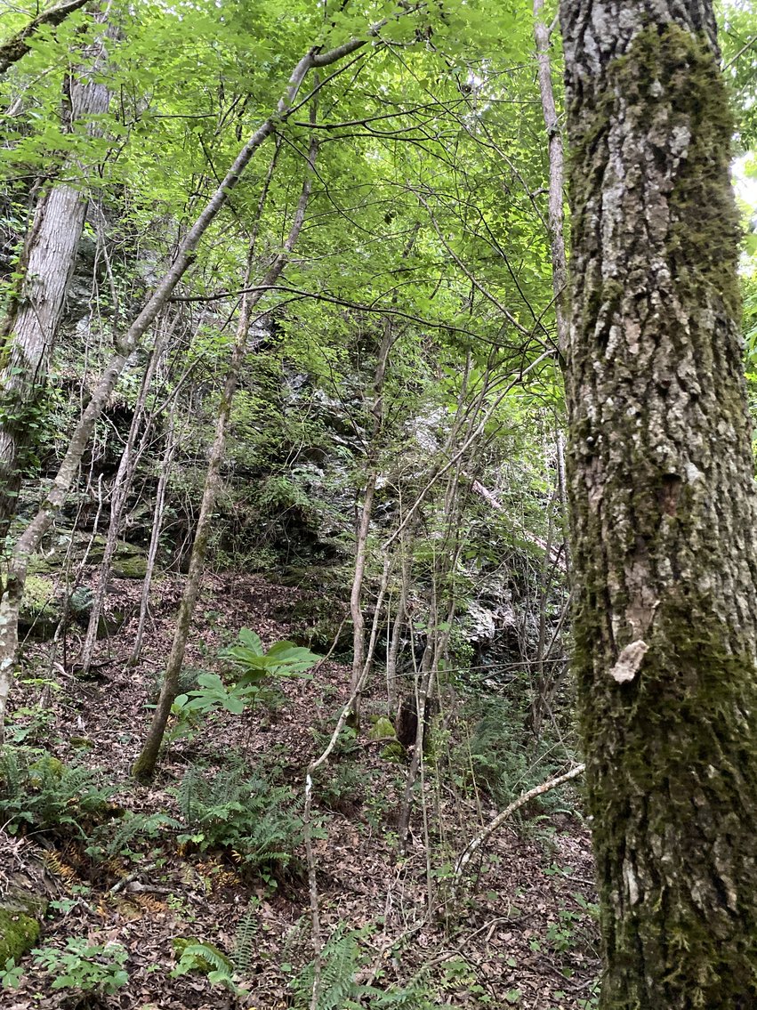 Image for 111+/- Acres Over 4300’ Tallapoosa River Frontage