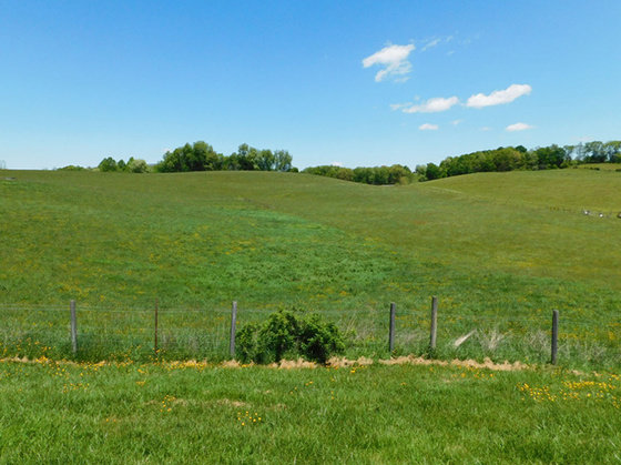 Image for SATURDAY, MAY 29th * 10:00 AM