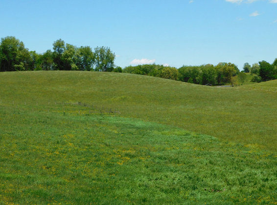 Image for SATURDAY, MAY 29th * 10:00 AM