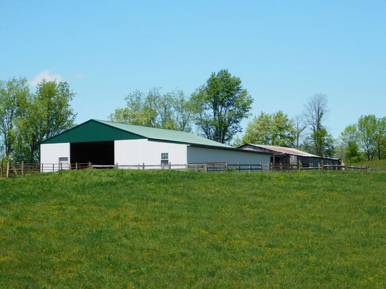 Image for SATURDAY, MAY 29th * 10:00 AM