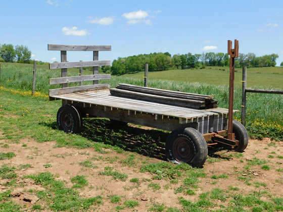 Image for SATURDAY, MAY 29th * 10:00 AM