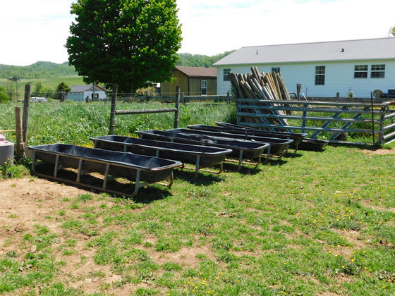 Image for SATURDAY, MAY 29th * 10:00 AM