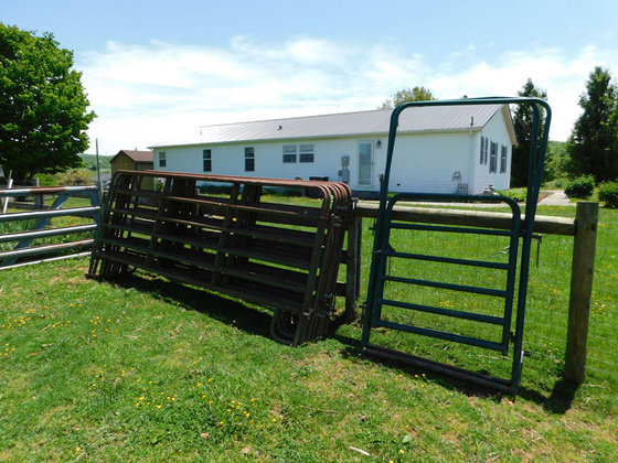 Image for SATURDAY, MAY 29th * 10:00 AM